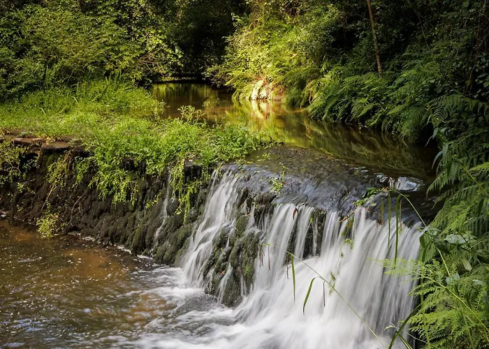 Be&see In River Séjour à la ferme *