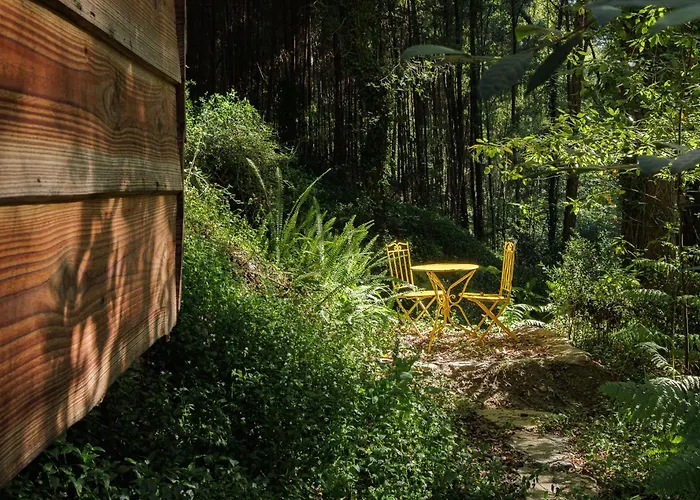 Séjour à la ferme Be&see In River Ovar